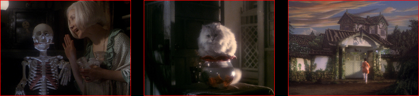Hausu