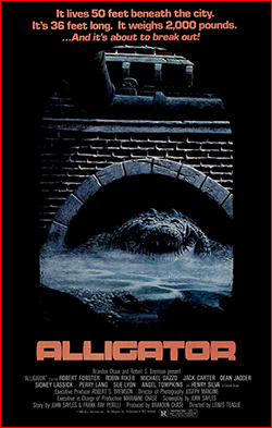 Alligator