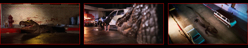 Alligator