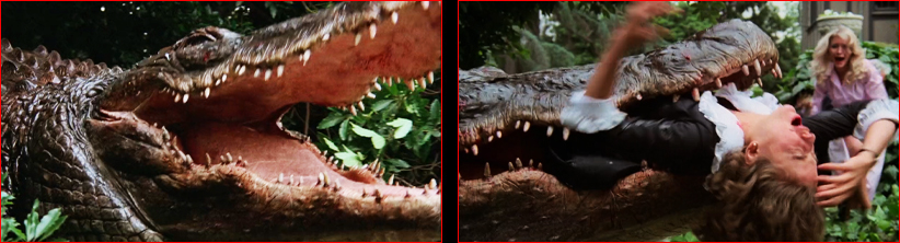 Alligator