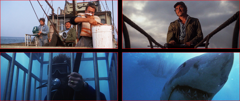 Jaws