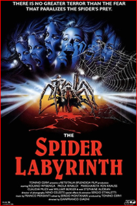 The Spider Labyrinth