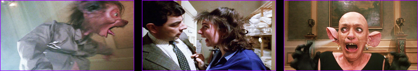 The Witches