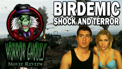 Birdemic: Shock and Terror review