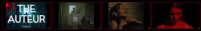THE AUTEUR - Horror Short
