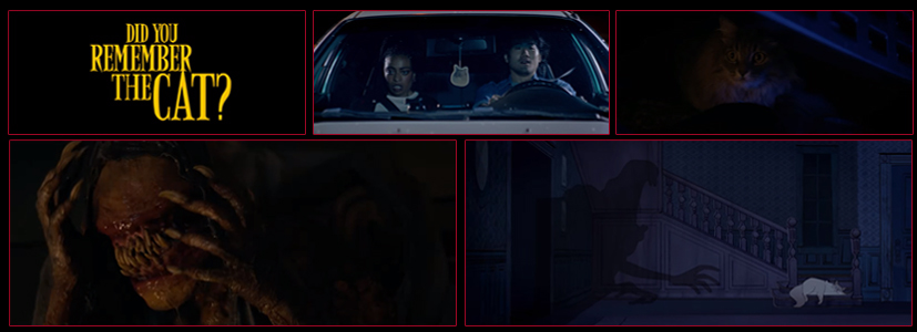 DID YOU REMEMBER THE CAT - Horror Short